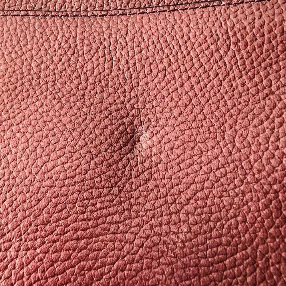 COACH Metallic Cherry Leather Multiple Journal Pop Out Pouch Crossbody Bag